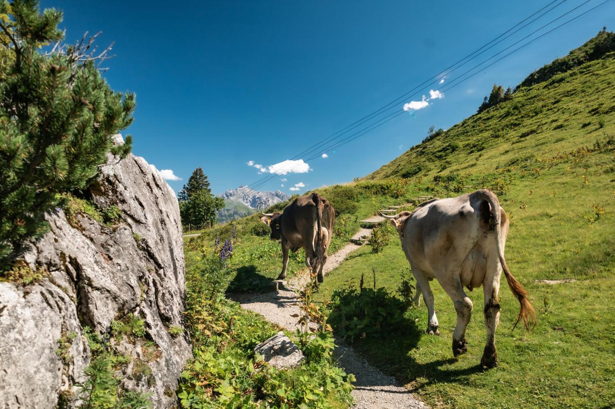 Ferienhaus Geiger Oberstdorf Eksteriør bilde